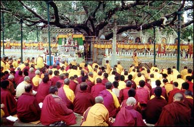Tibetan monk at the Bodhi  Tree