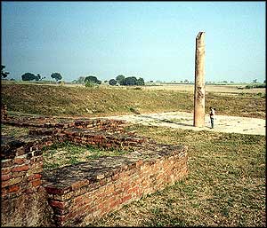 Asoka Pillar and ruins