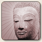 The Daily Enlightenment: Book 1 - Reflections for the Practising Buddhist