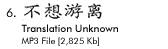 6. Translation Unknown - MP3 [2,825kb]