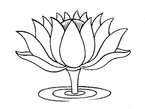 Lotus